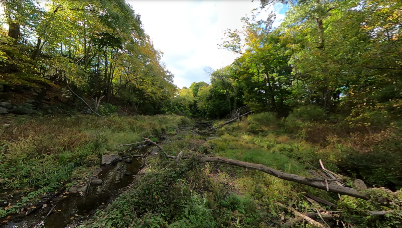 Fort Pond Brook Dam Removal